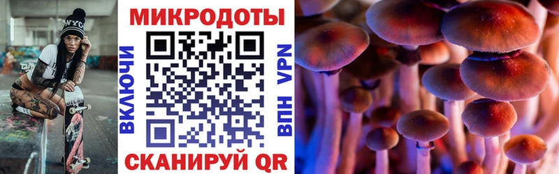 Псилоцибиновые грибы Psilocybe  Ковров 