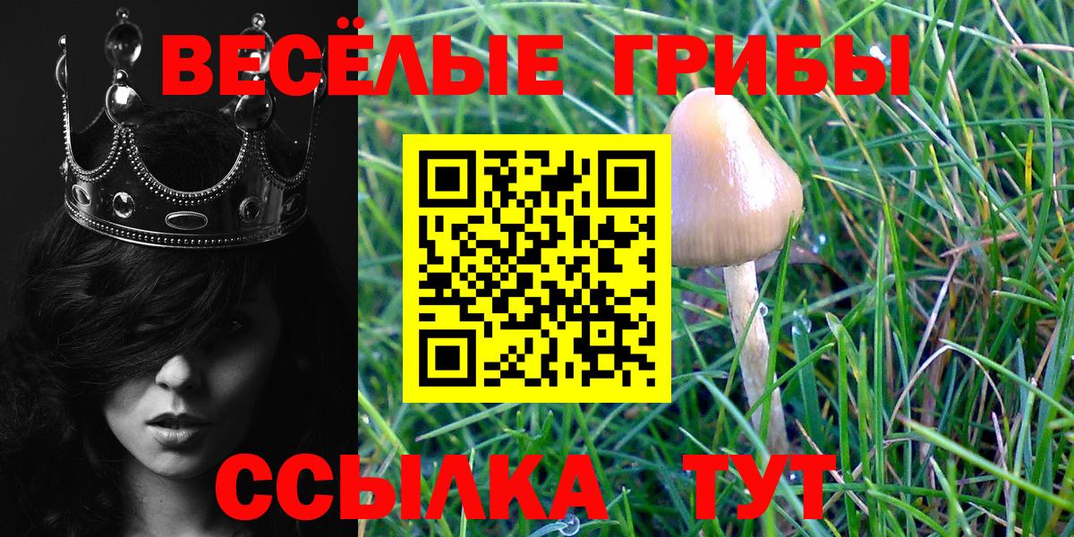 Ковров  Псилоцибиновые грибы Psilocybe  Псилоцибиновые грибы Magic Shrooms  Вход с VPN 