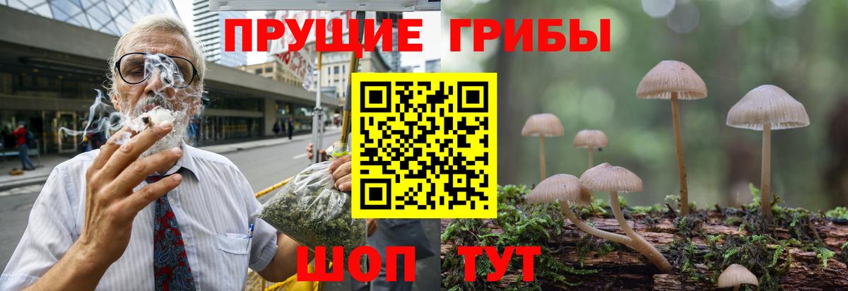 Псилоцибиновые грибы MAGIC MUSHROOMS Ковров